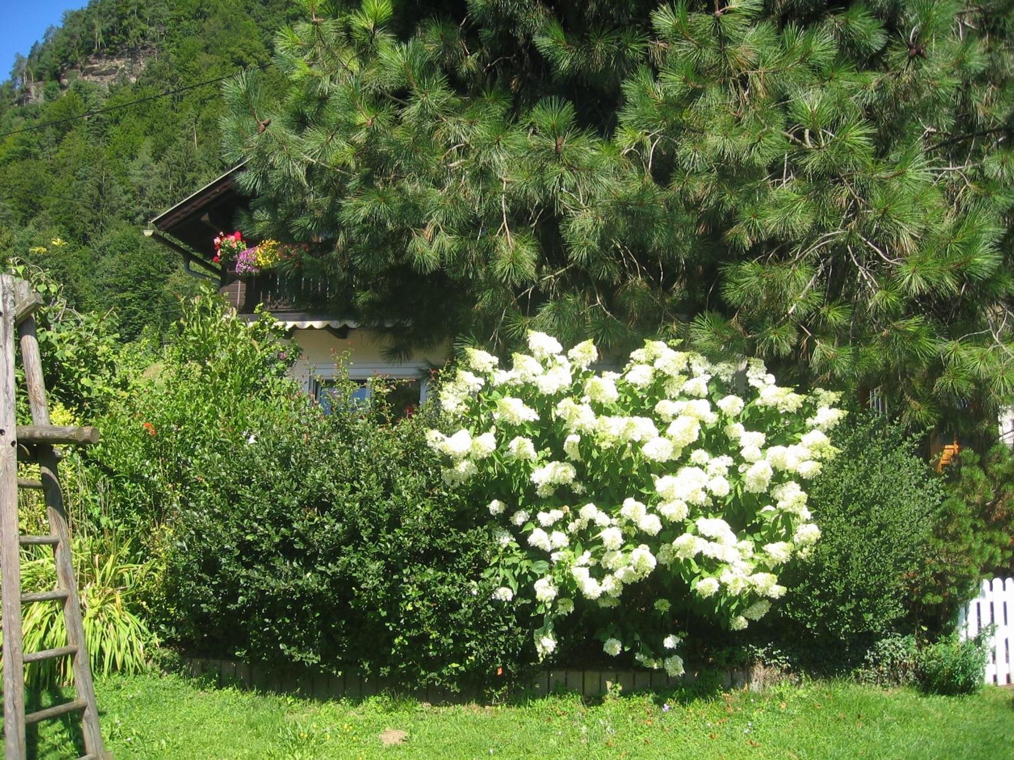 Pension Wolf Steindorf am Ossiacher See Exterior foto